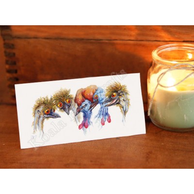 Emu & Cassowary Gift Card