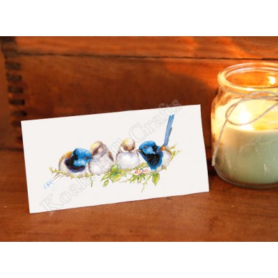 Variegated Fairy Wren Gift Card