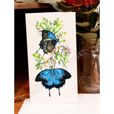 Ulysses Butterfly Greeting Card