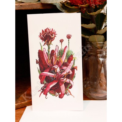 Gymea Lily Greeting Card