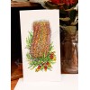 Hairpin Banksia & Native Fuchsia Greeting Card