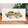 Corroboree Frog Greeting Card
