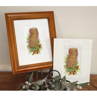 Hairpin Banksia & Native Fuchsia Print